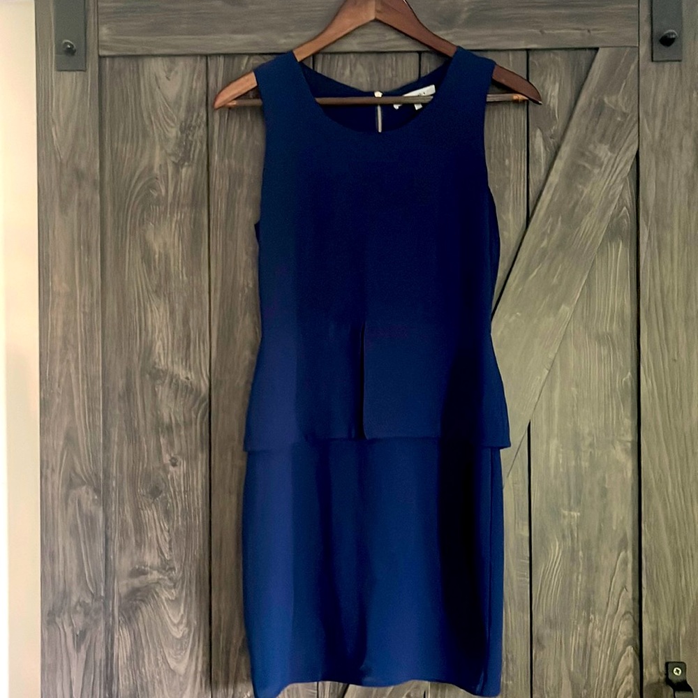 Naked Zebra royal blue sheath dress